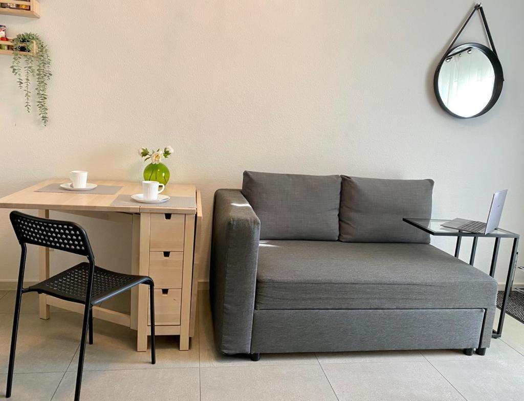 Life Atmosphaere Apartment Lahr-Schwarzwald ラール エクステリア 写真
